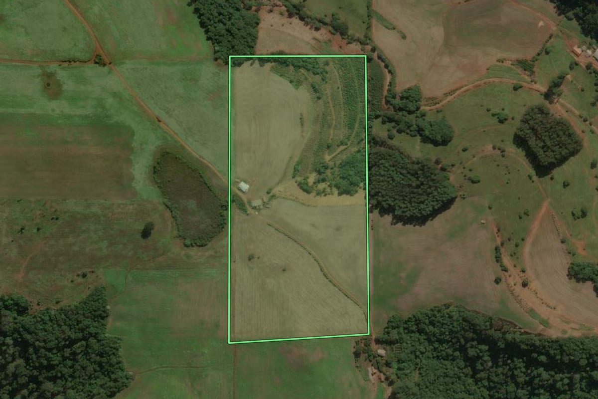 Imagem de satélite do imóvel rural em Viadutos (RS), com o contorno declarado no CAR desenhado por cima.
