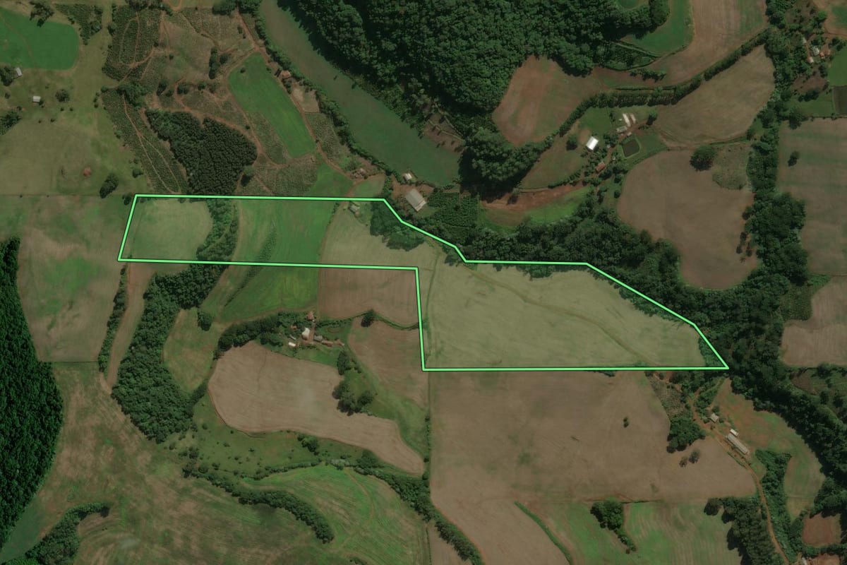 Imagem de satélite do imóvel rural em Viadutos (RS), com o contorno declarado no CAR desenhado por cima.