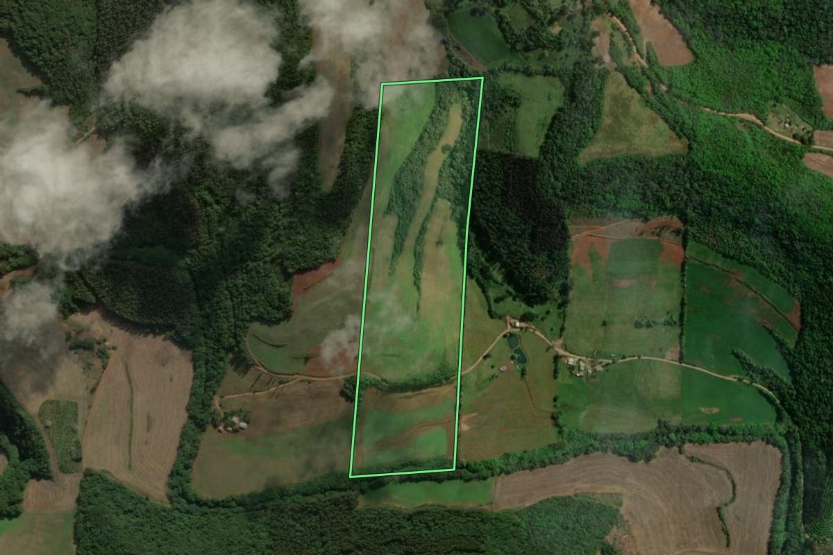 Imagem de satélite do imóvel rural em Viadutos (RS), com o contorno declarado no CAR desenhado por cima.