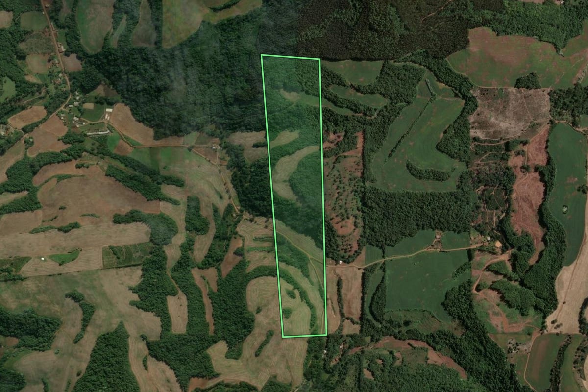 Imagem de satélite do imóvel rural em Viadutos (RS), com o contorno declarado no CAR desenhado por cima.
