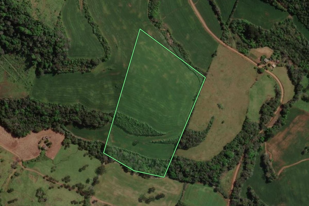 Imagem de satélite do imóvel rural em Viadutos (RS), com o contorno declarado no CAR desenhado por cima.