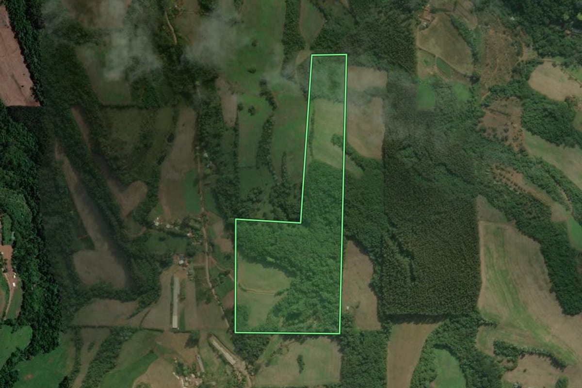 Imagem de satélite do imóvel rural em Viadutos (RS), com o contorno declarado no CAR desenhado por cima.