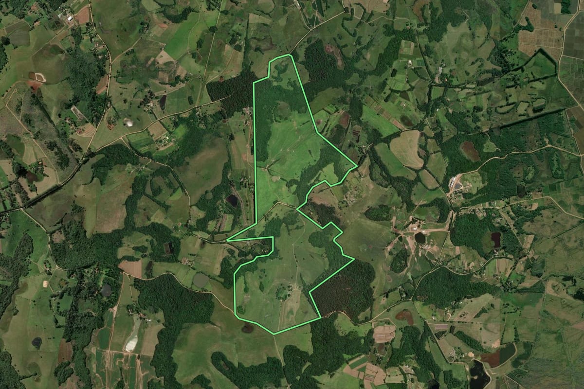 Imagem de satélite do imóvel rural em Viamão (RS), com o contorno declarado no CAR desenhado por cima.