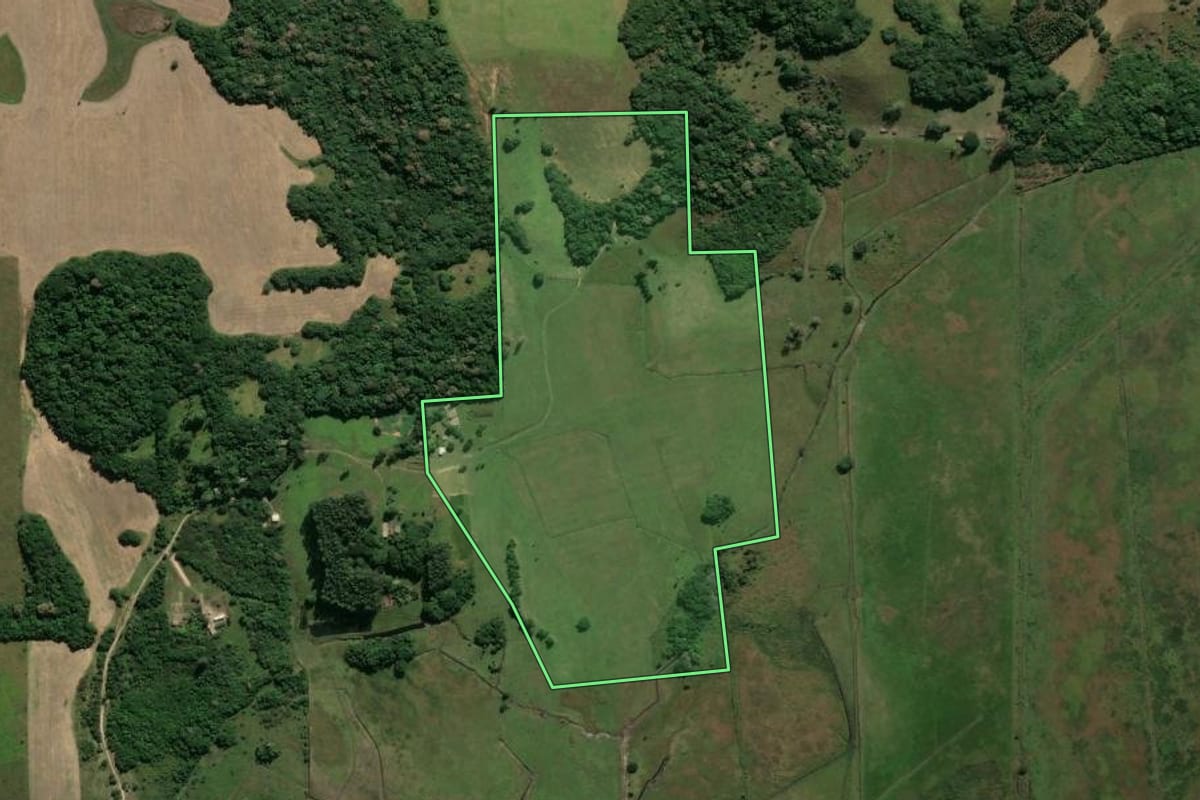Imagem de satélite do imóvel rural em Viamão (RS), com o contorno declarado no CAR desenhado por cima.