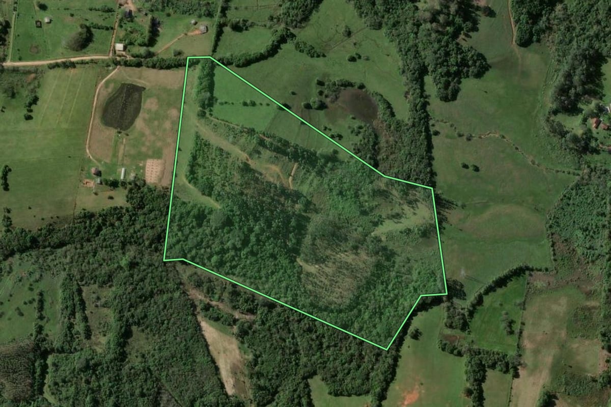 Imagem de satélite do imóvel rural em Viamão (RS), com o contorno declarado no CAR desenhado por cima.