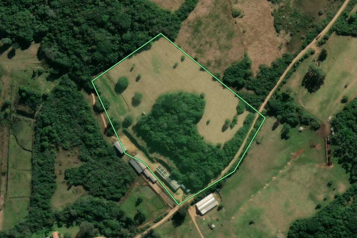 Imagem de satélite do imóvel rural em Viamão (RS), com o contorno declarado no CAR desenhado por cima.