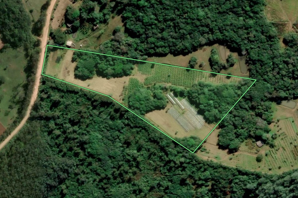 Imagem de satélite do imóvel rural em Viamão (RS), com o contorno declarado no CAR desenhado por cima.