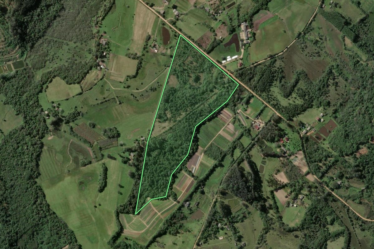 Imagem de satélite do imóvel rural em Viamão (RS), com o contorno declarado no CAR desenhado por cima.