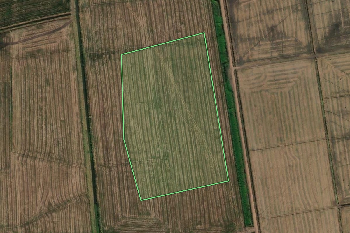 Imagem de satélite do imóvel rural em Viamão (RS), com o contorno declarado no CAR desenhado por cima.