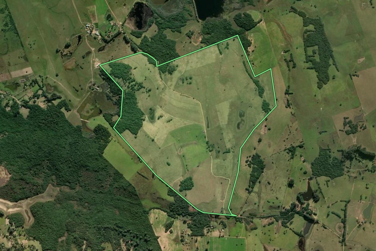 Imagem de satélite do imóvel rural em Viamão (RS), com o contorno declarado no CAR desenhado por cima.
