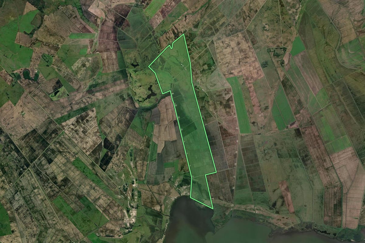 Imagem de satélite do imóvel rural em Viamão (RS), com o contorno declarado no CAR desenhado por cima.