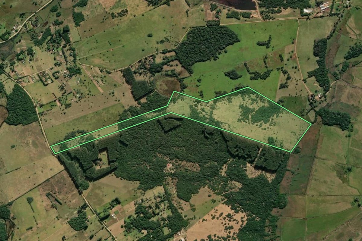 Imagem de satélite do imóvel rural em Viamão (RS), com o contorno declarado no CAR desenhado por cima.