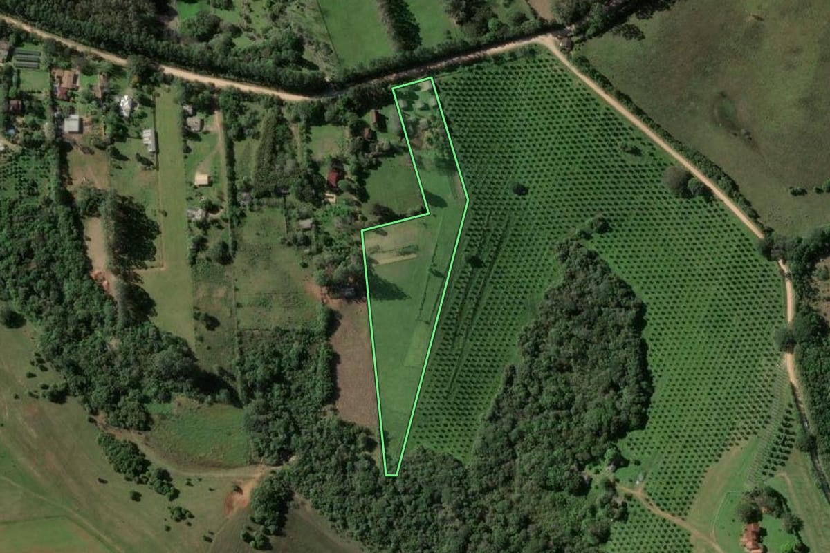 Imagem de satélite do imóvel rural em Viamão (RS), com o contorno declarado no CAR desenhado por cima.