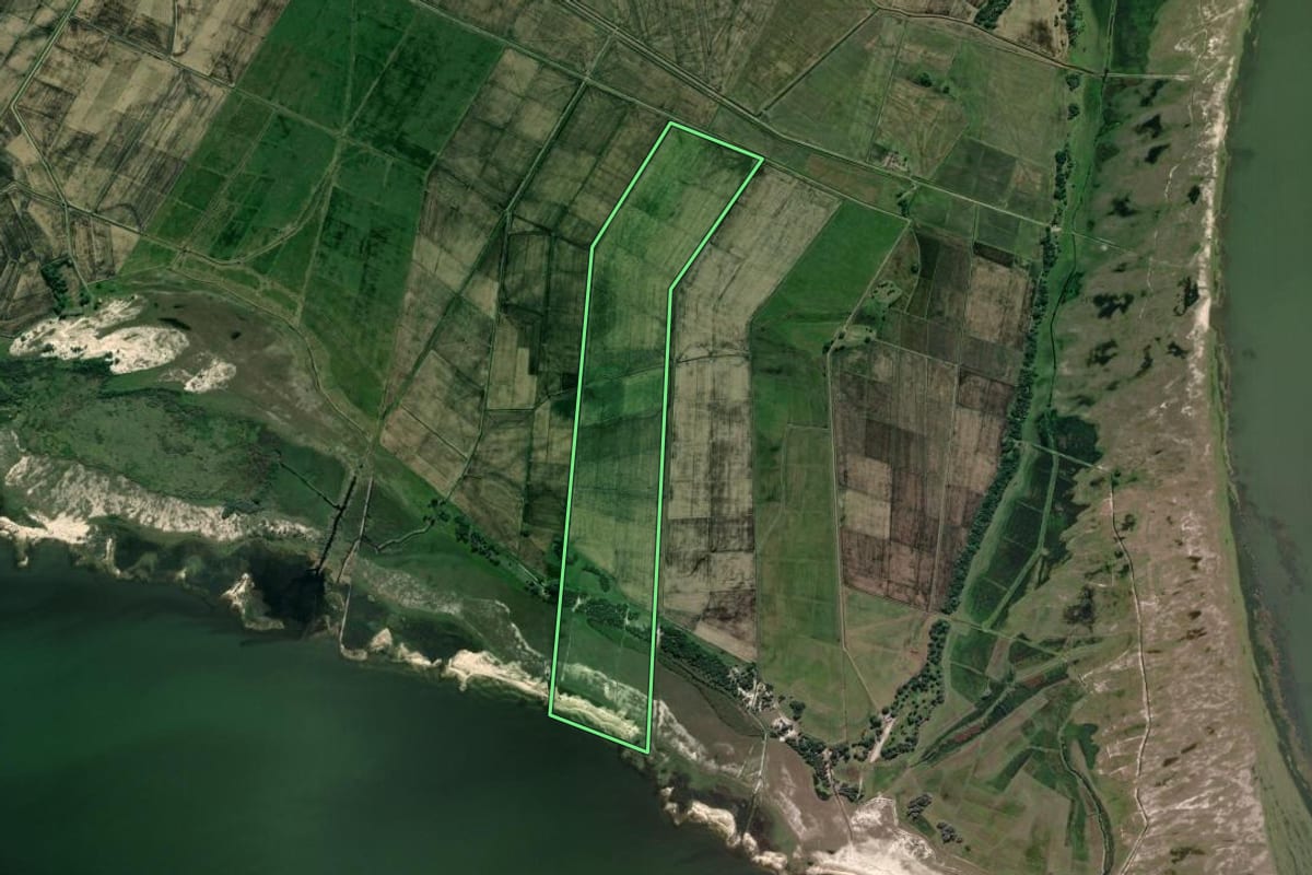 Imagem de satélite do imóvel rural em Viamão (RS), com o contorno declarado no CAR desenhado por cima.