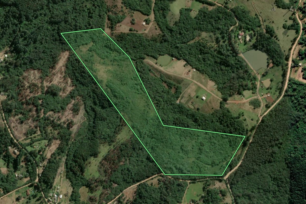 Imagem de satélite do imóvel rural em Viamão (RS), com o contorno declarado no CAR desenhado por cima.