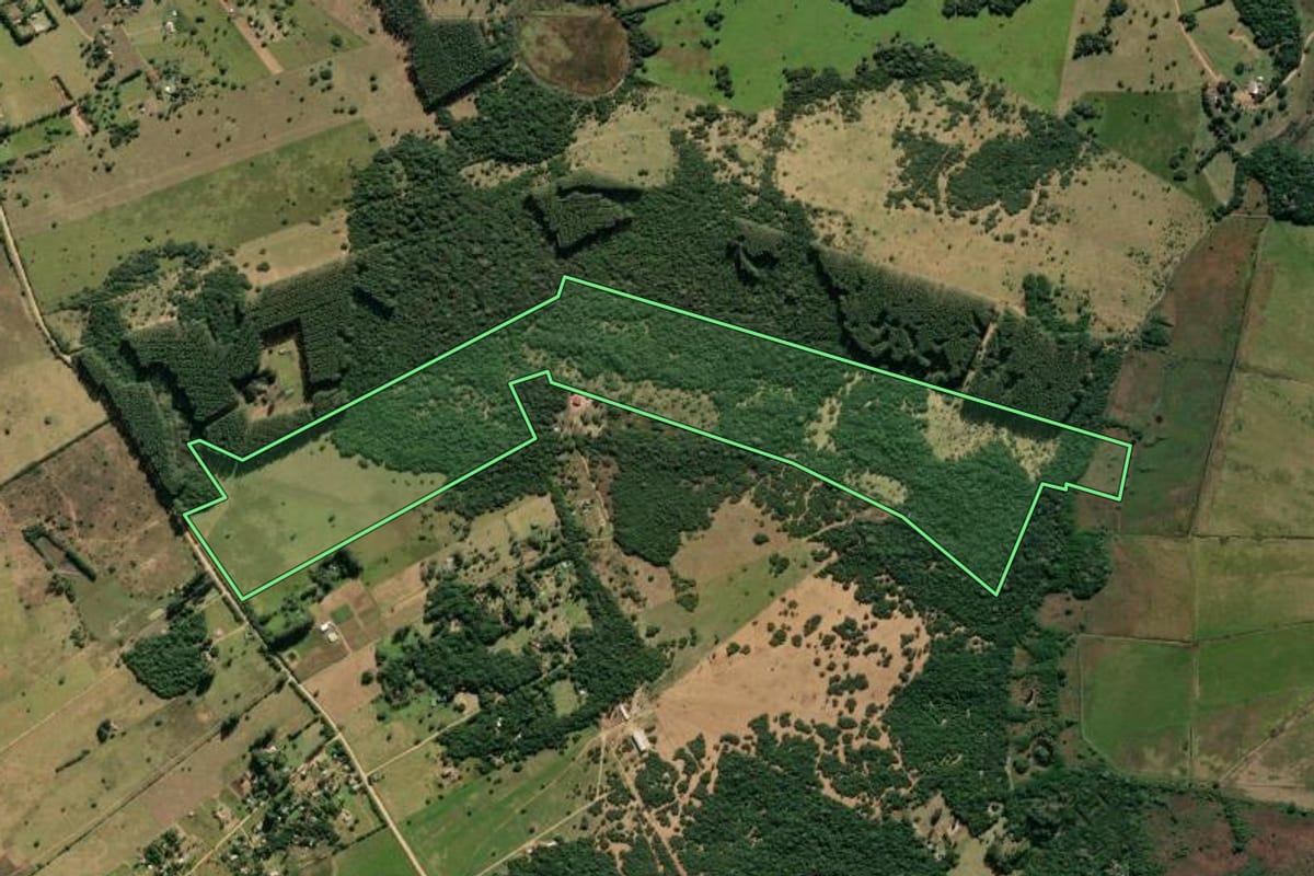 Imagem de satélite do imóvel rural em Viamão (RS), com o contorno declarado no CAR desenhado por cima.