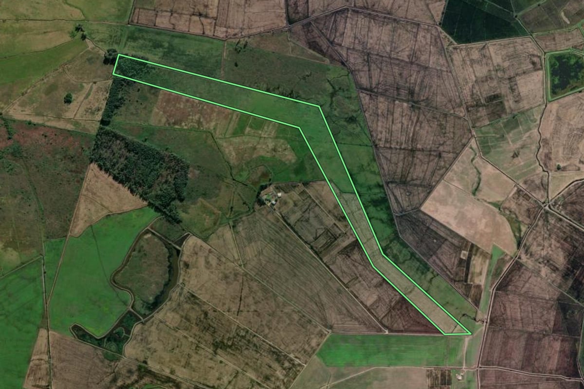 Imagem de satélite do imóvel rural em Viamão (RS), com o contorno declarado no CAR desenhado por cima.