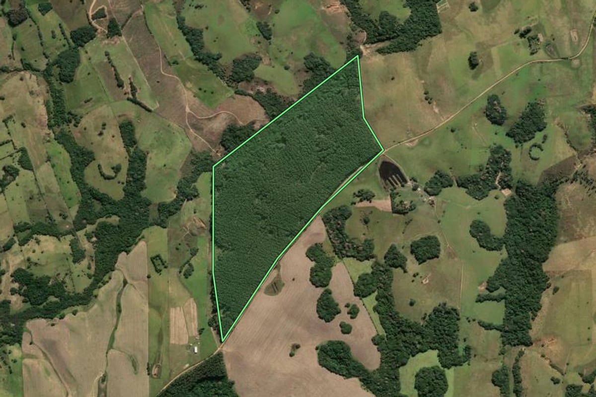 Imagem de satélite do imóvel rural em Viamão (RS), com o contorno declarado no CAR desenhado por cima.
