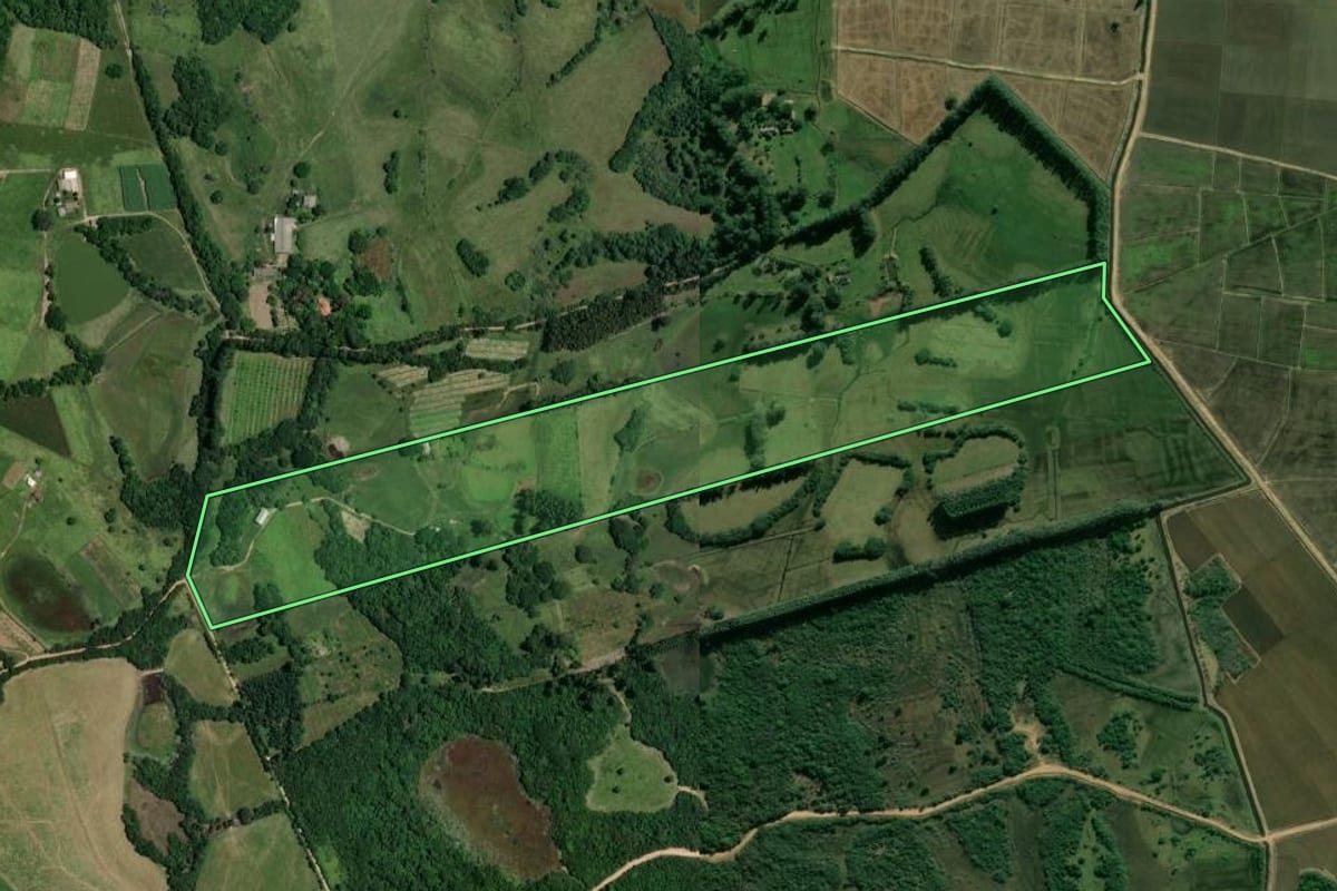 Imagem de satélite do imóvel rural em Viamão (RS), com o contorno declarado no CAR desenhado por cima.