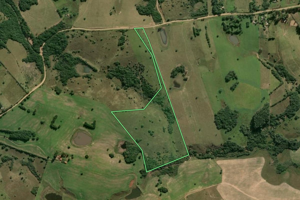 Imagem de satélite do imóvel rural em Viamão (RS), com o contorno declarado no CAR desenhado por cima.
