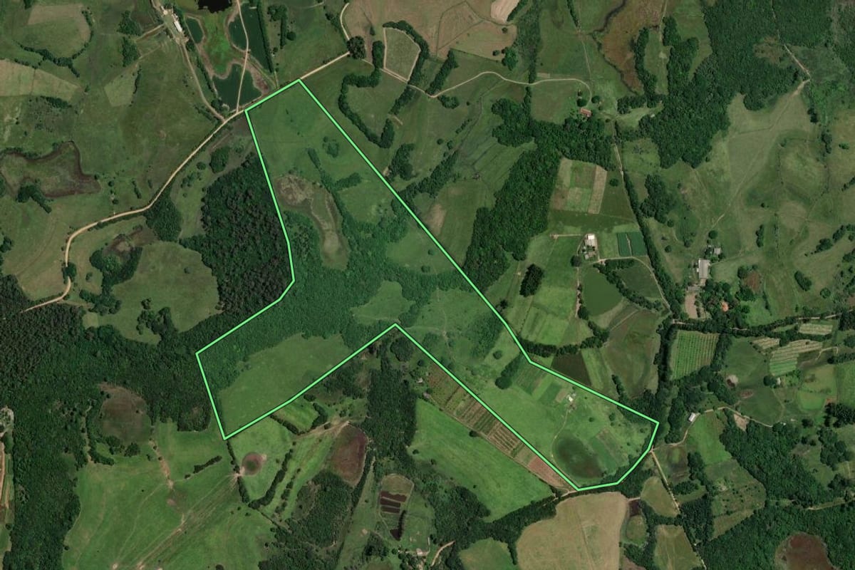 Imagem de satélite do imóvel rural em Viamão (RS), com o contorno declarado no CAR desenhado por cima.