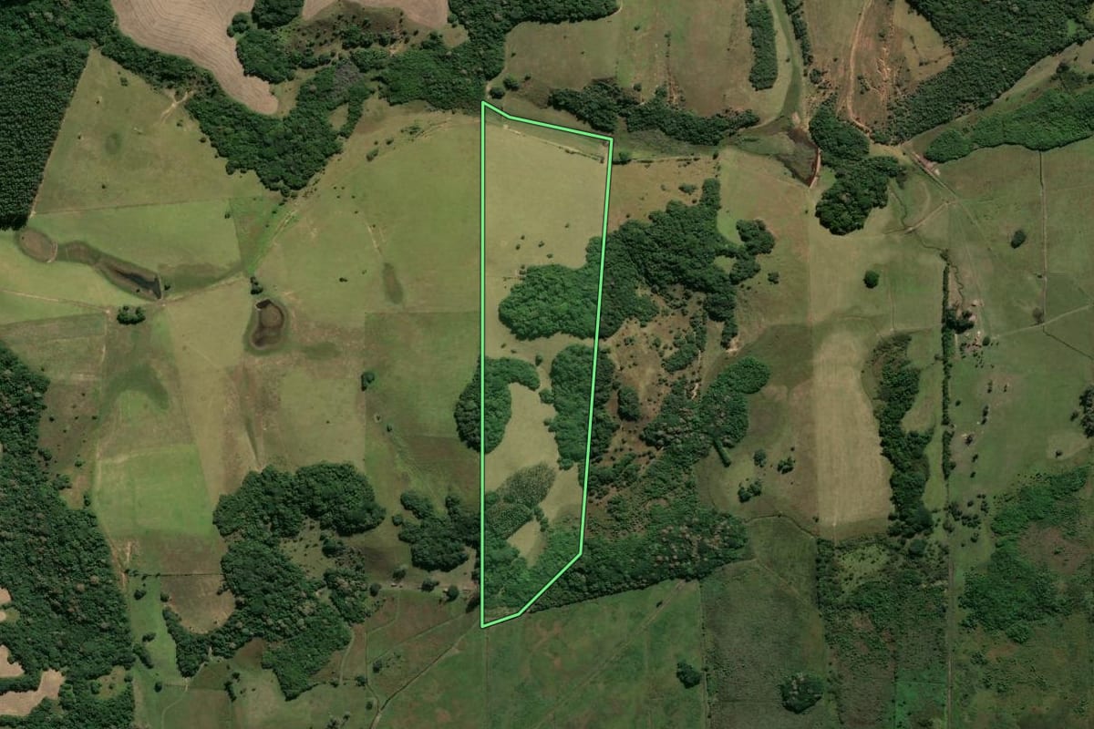 Imagem de satélite do imóvel rural em Viamão (RS), com o contorno declarado no CAR desenhado por cima.