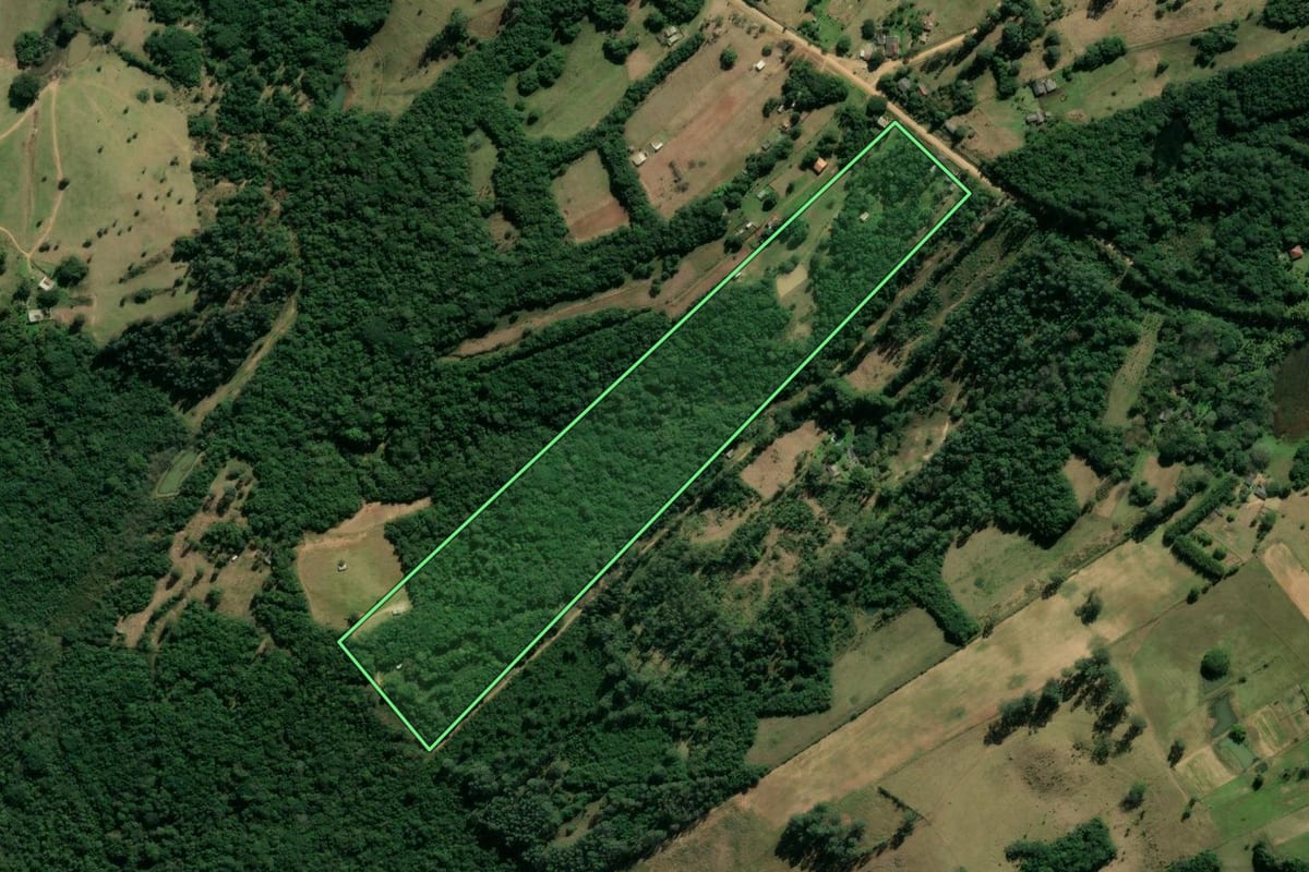 Imagem de satélite do imóvel rural em Viamão (RS), com o contorno declarado no CAR desenhado por cima.