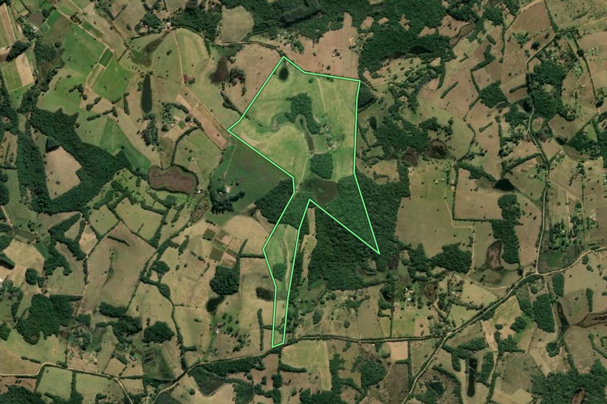 Imagem de satélite do imóvel rural em Viamão (RS), com o contorno declarado no CAR desenhado por cima.
