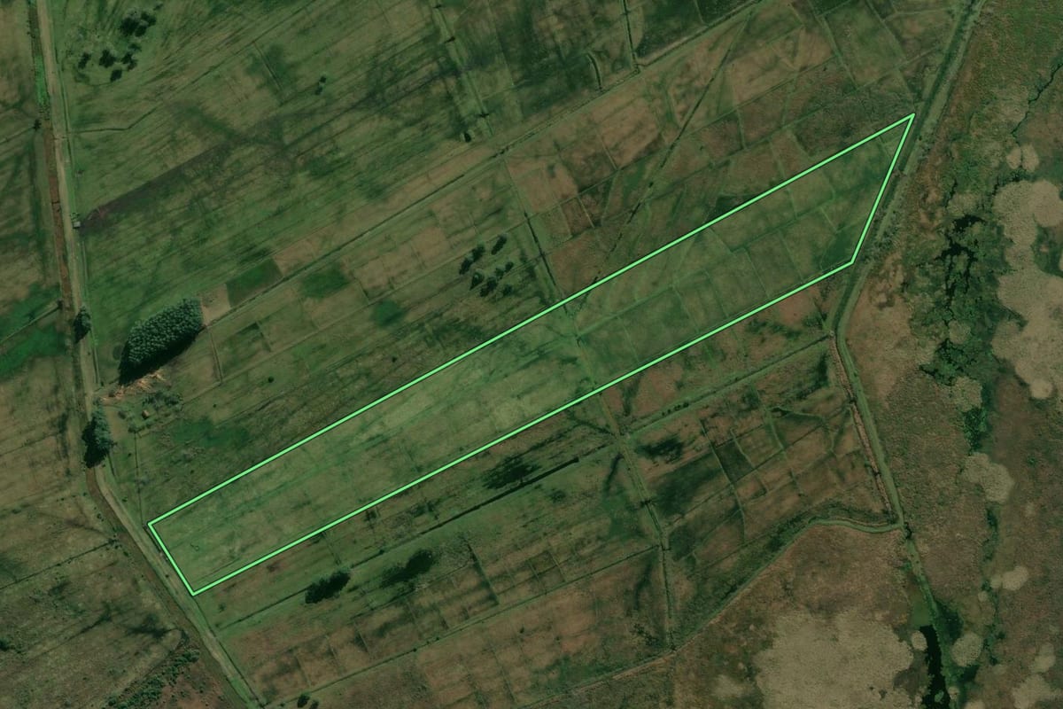 Imagem de satélite do imóvel rural em Viamão (RS), com o contorno declarado no CAR desenhado por cima.