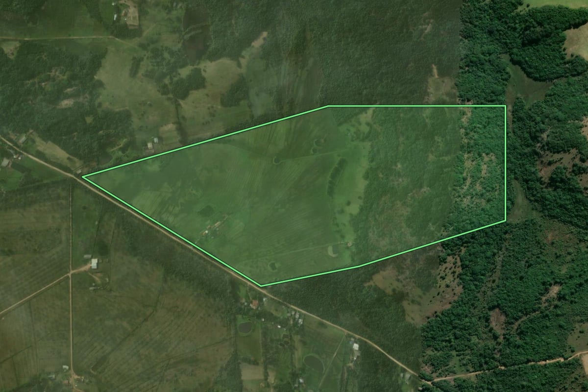 Imagem de satélite do imóvel rural em Viamão (RS), com o contorno declarado no CAR desenhado por cima.