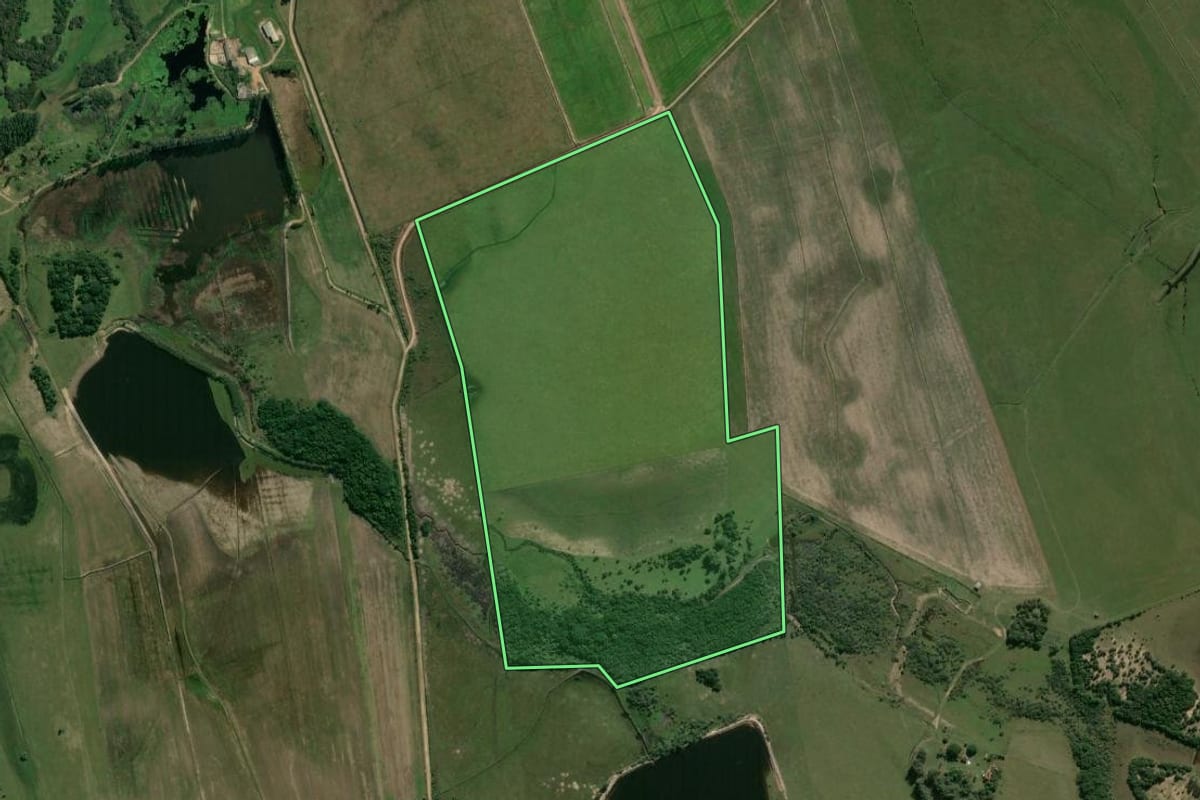 Imagem de satélite do imóvel rural em Viamão (RS), com o contorno declarado no CAR desenhado por cima.