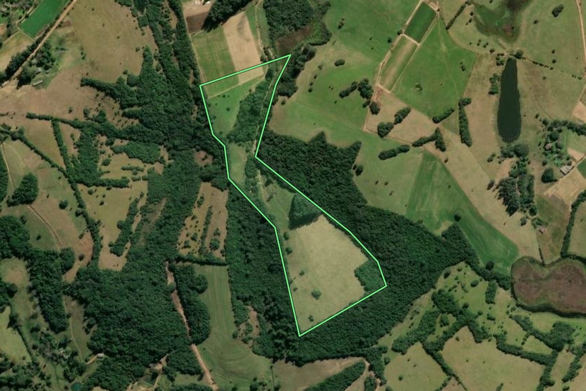 Imagem de satélite do imóvel rural em Viamão (RS), com o contorno declarado no CAR desenhado por cima.