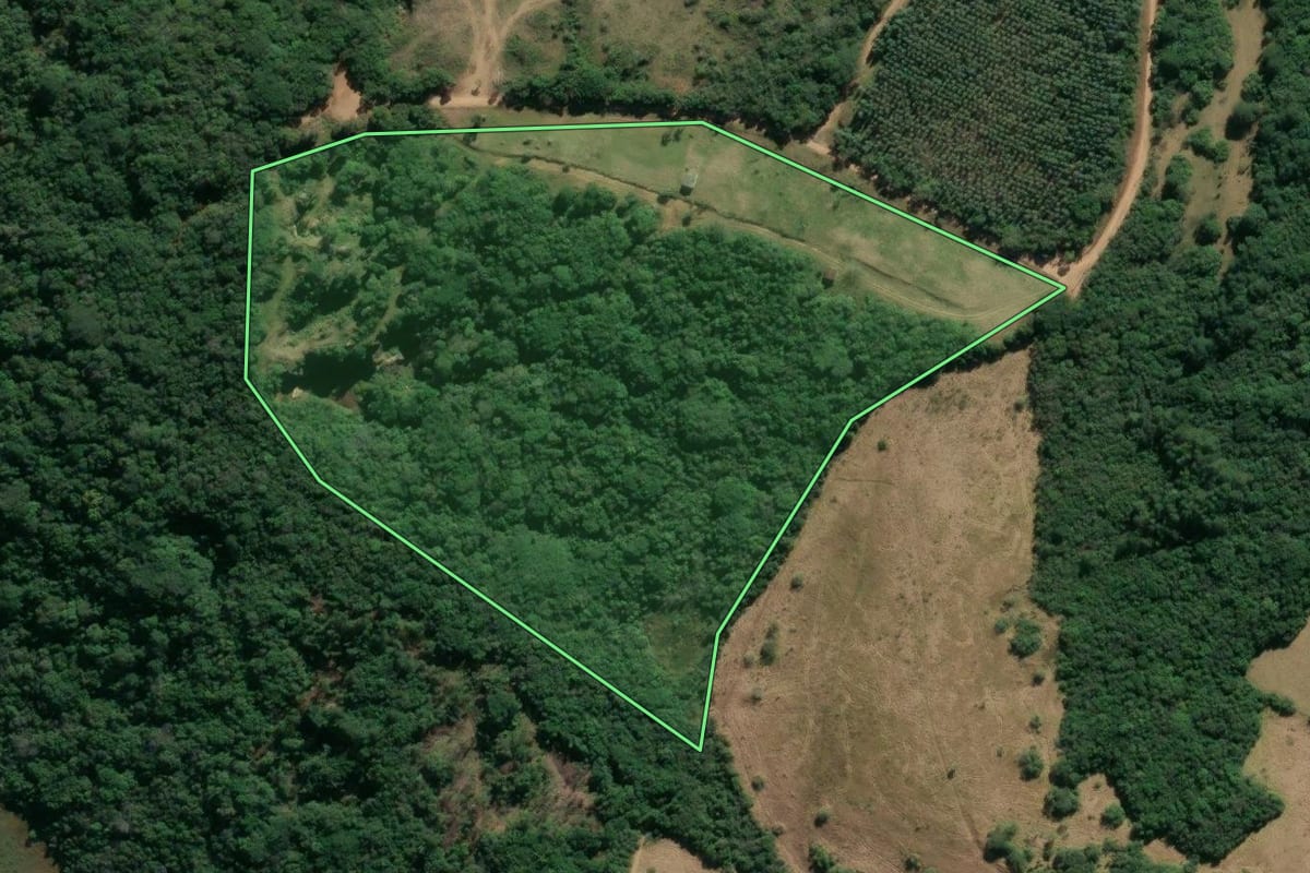 Imagem de satélite do imóvel rural em Viamão (RS), com o contorno declarado no CAR desenhado por cima.