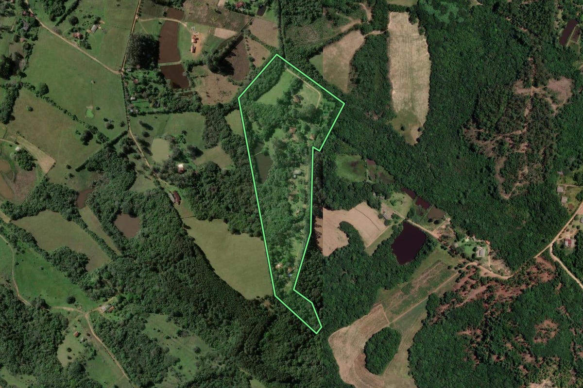 Imagem de satélite do imóvel rural em Viamão (RS), com o contorno declarado no CAR desenhado por cima.