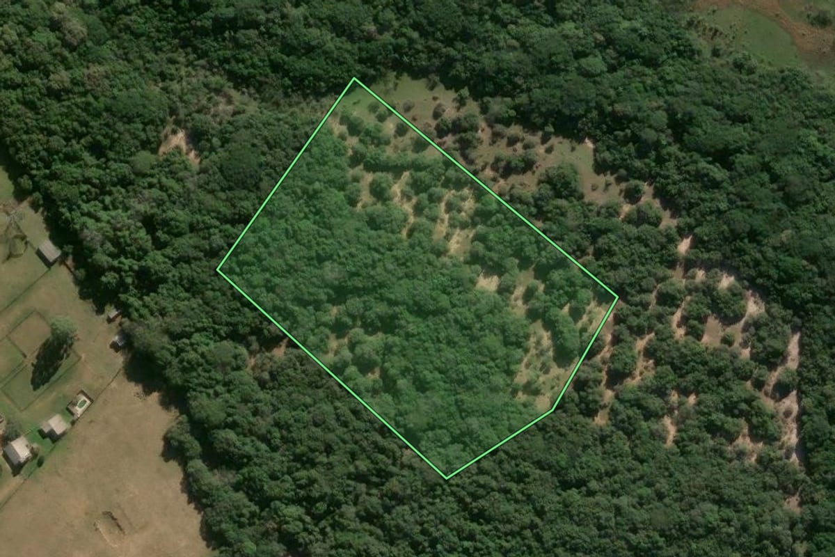 Imagem de satélite do imóvel rural em Viamão (RS), com o contorno declarado no CAR desenhado por cima.