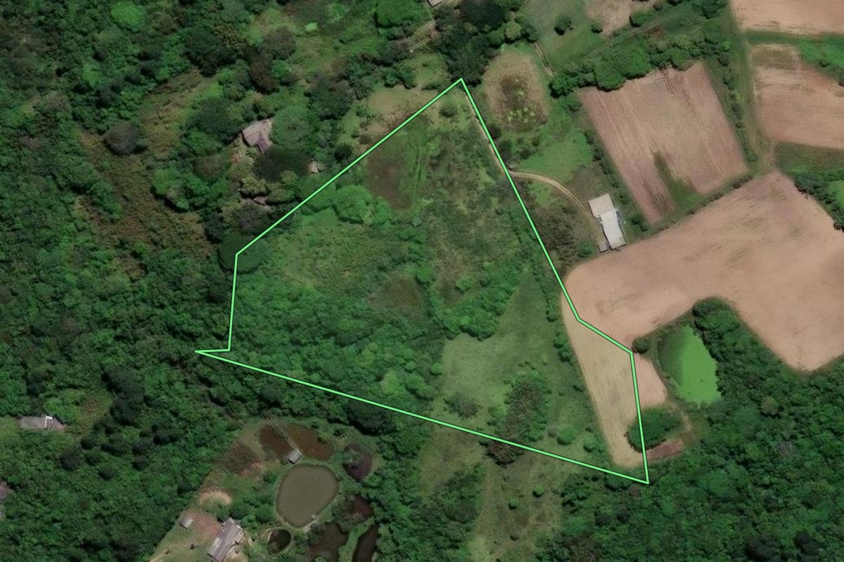 Imagem de satélite do imóvel rural em Viamão (RS), com o contorno declarado no CAR desenhado por cima.