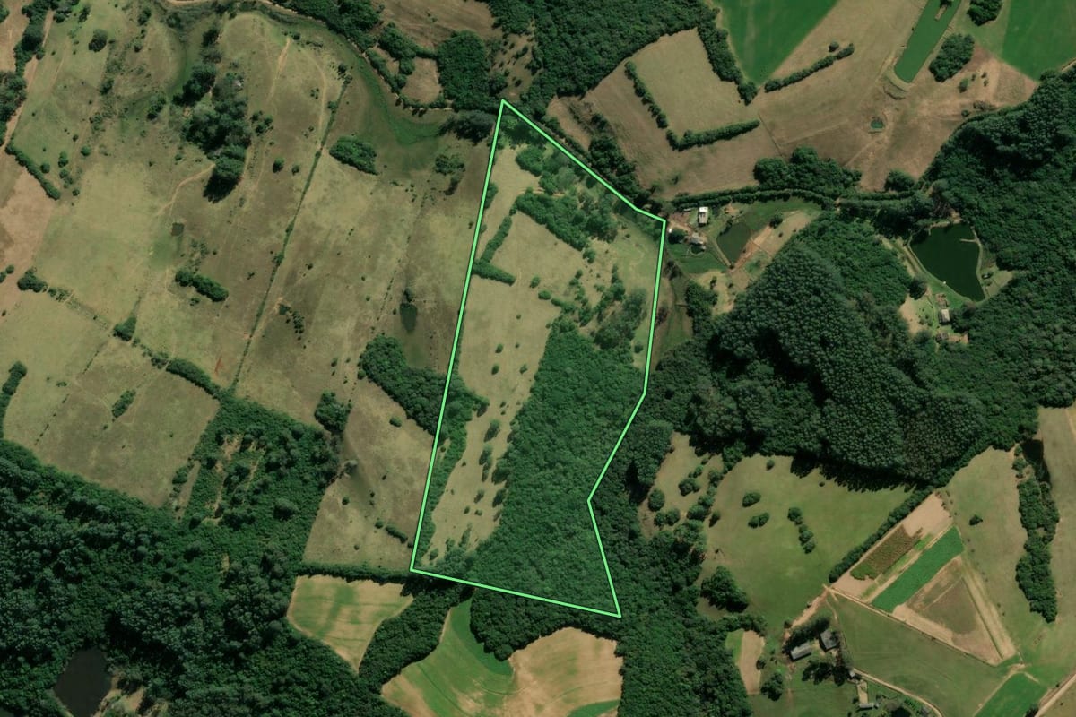 Imagem de satélite do imóvel rural em Viamão (RS), com o contorno declarado no CAR desenhado por cima.
