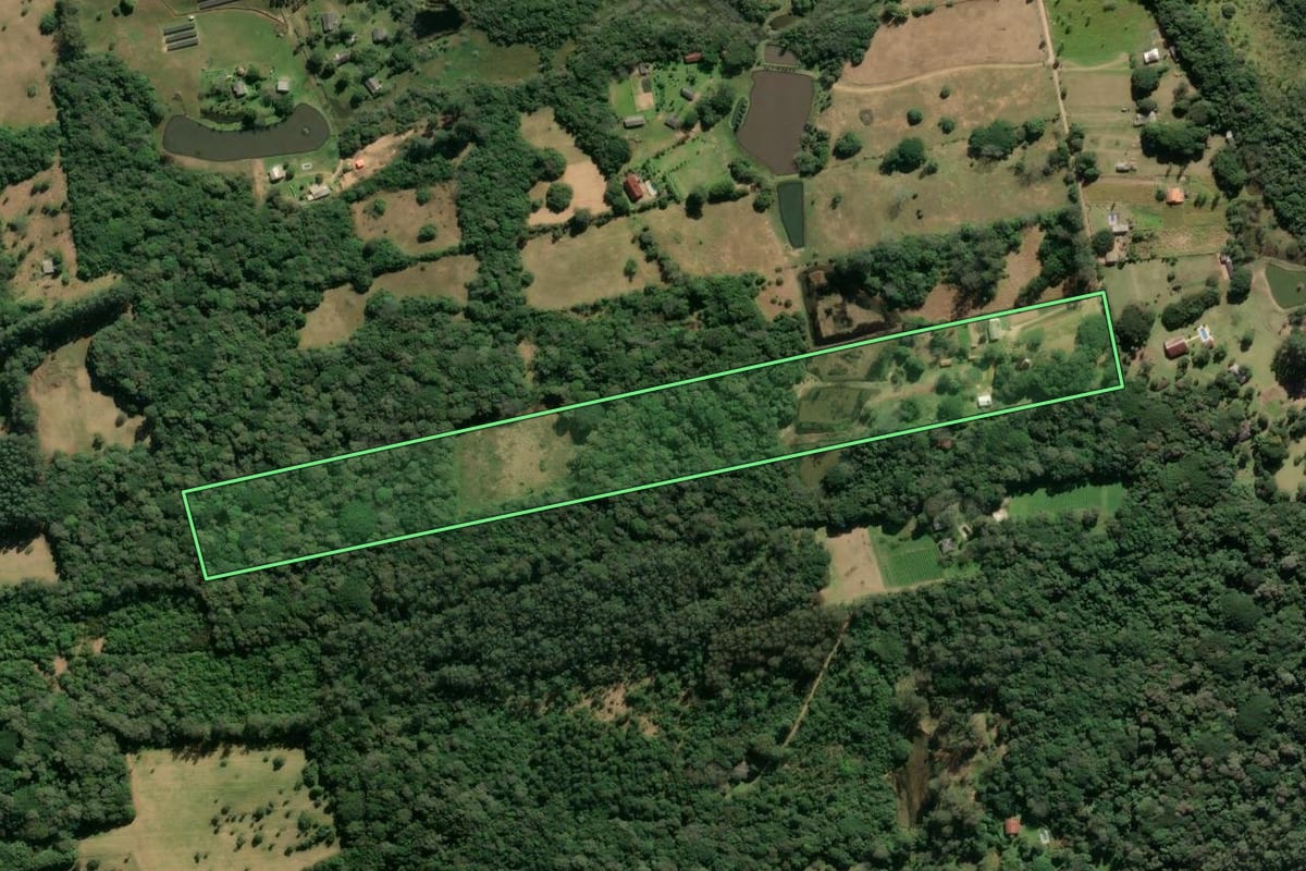 Imagem de satélite do imóvel rural em Viamão (RS), com o contorno declarado no CAR desenhado por cima.