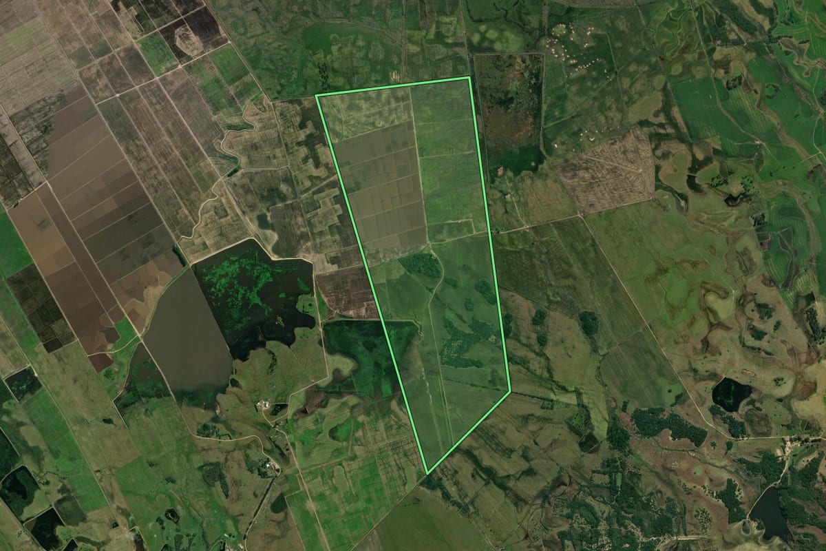 Imagem de satélite do imóvel rural em Viamão (RS), com o contorno declarado no CAR desenhado por cima.