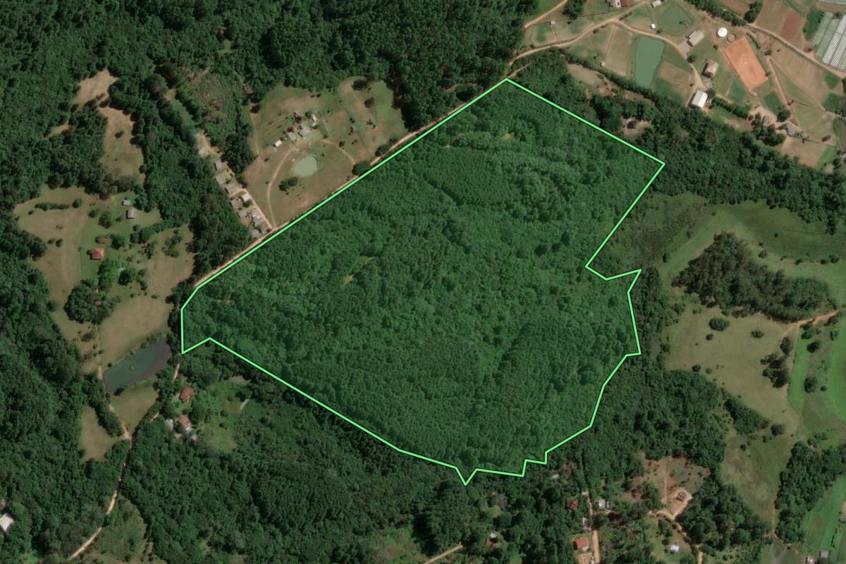 Imagem de satélite do imóvel rural em Viamão (RS), com o contorno declarado no CAR desenhado por cima.