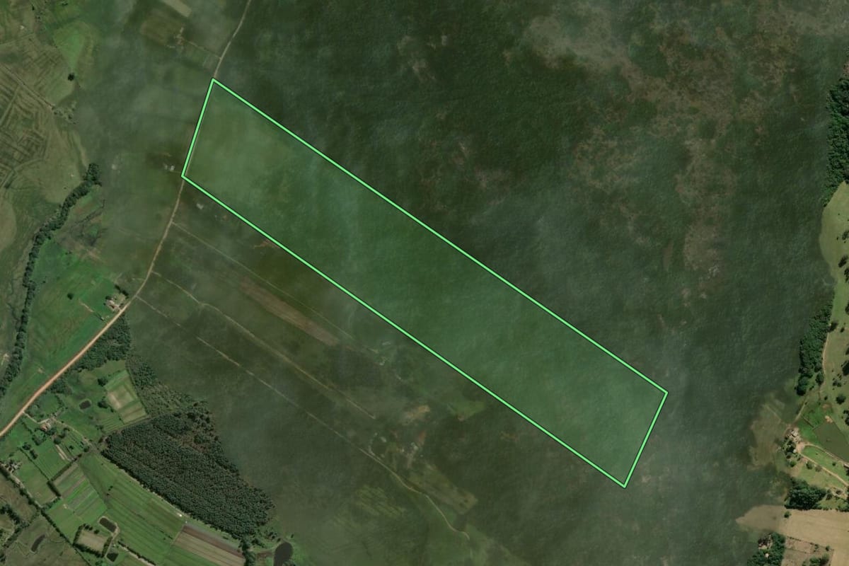 Imagem de satélite do imóvel rural em Viamão (RS), com o contorno declarado no CAR desenhado por cima.