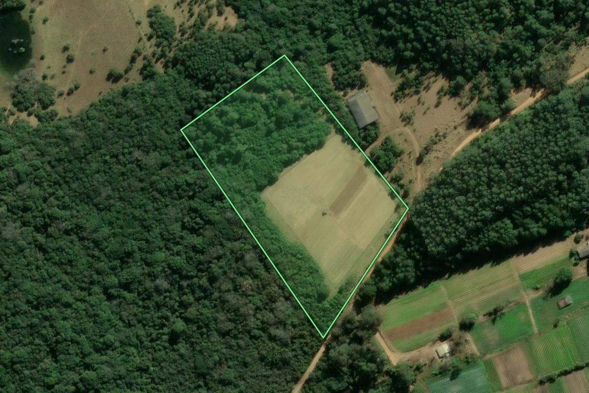 Imagem de satélite do imóvel rural em Viamão (RS), com o contorno declarado no CAR desenhado por cima.
