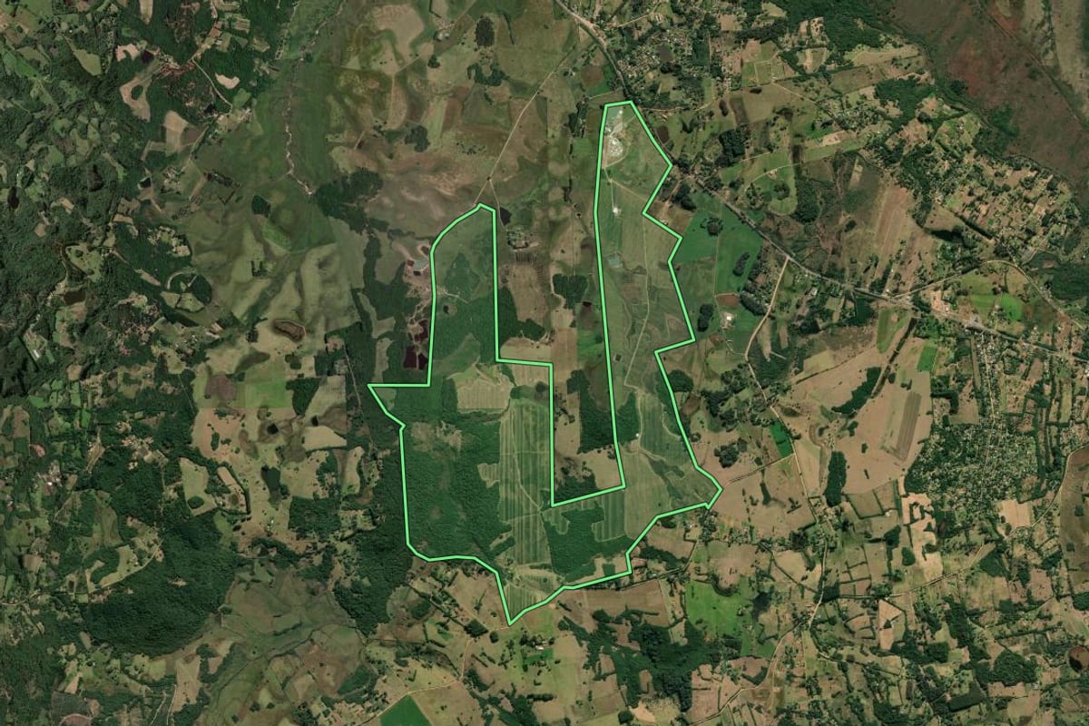 Imagem de satélite do imóvel rural em Viamão (RS), com o contorno declarado no CAR desenhado por cima.