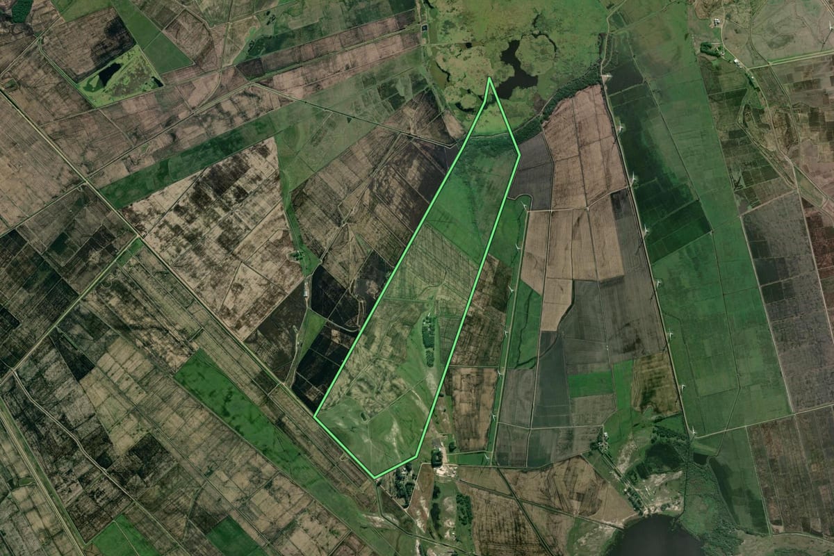 Imagem de satélite do imóvel rural em Viamão (RS), com o contorno declarado no CAR desenhado por cima.