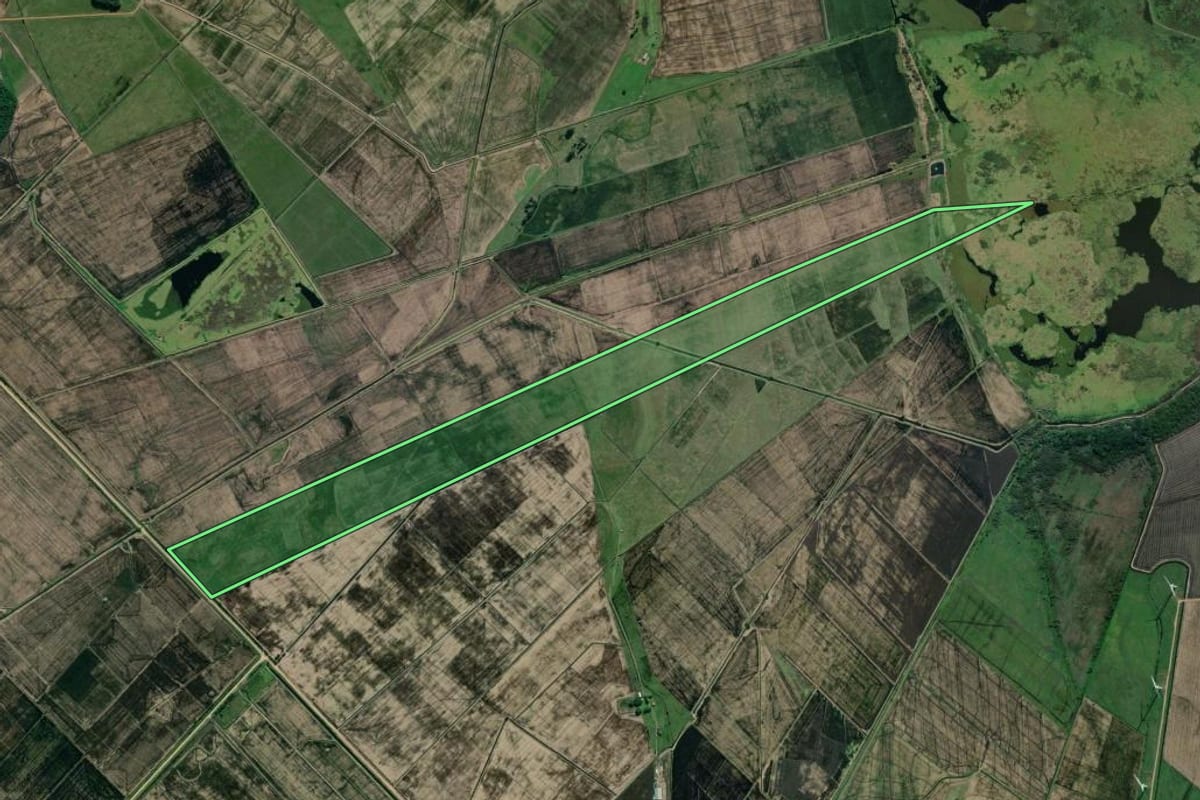 Imagem de satélite do imóvel rural em Viamão (RS), com o contorno declarado no CAR desenhado por cima.