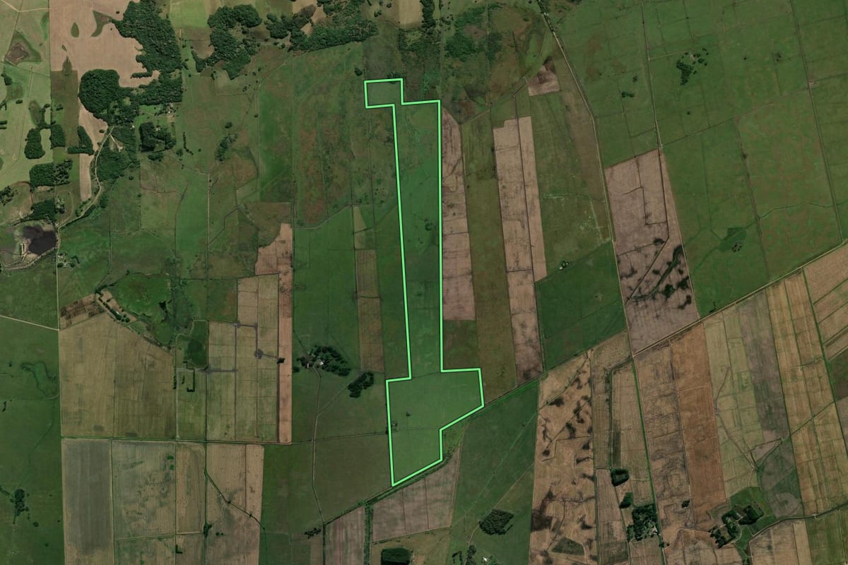 Imagem de satélite do imóvel rural em Viamão (RS), com o contorno declarado no CAR desenhado por cima.