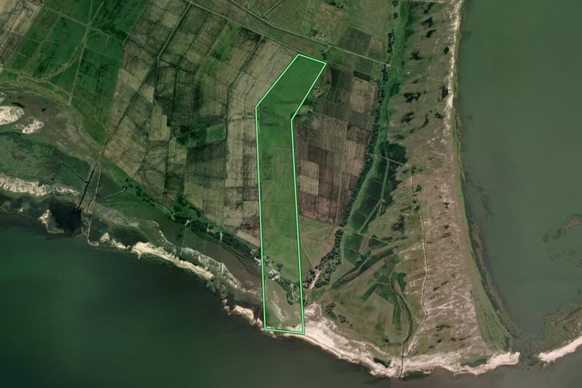 Imagem de satélite do imóvel rural em Viamão (RS), com o contorno declarado no CAR desenhado por cima.