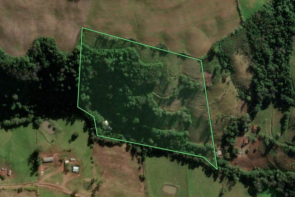 Imagem de satélite do imóvel rural em Vicente Dutra (RS), com o contorno declarado no CAR desenhado por cima.
