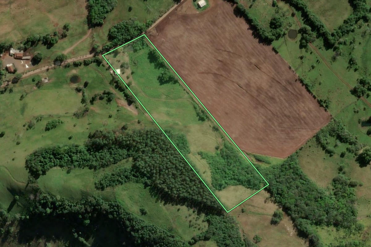 Imagem de satélite do imóvel rural em Vicente Dutra (RS), com o contorno declarado no CAR desenhado por cima.