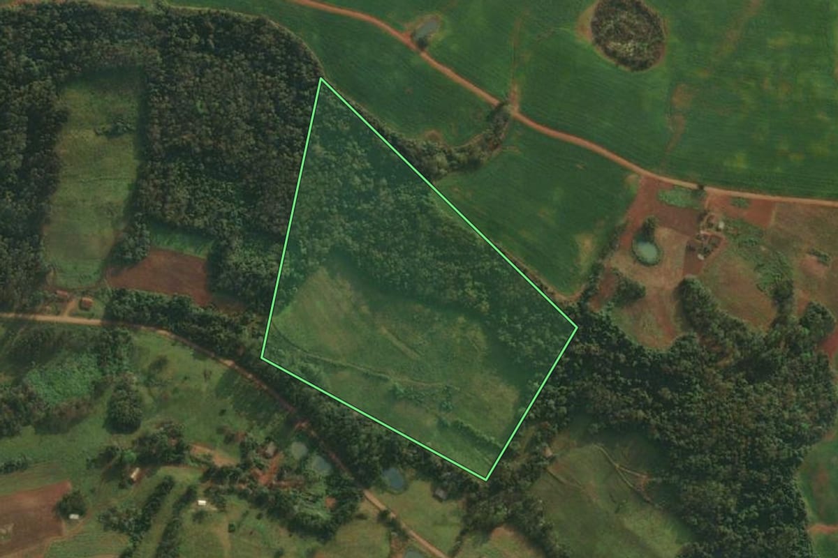 Imagem de satélite do imóvel rural em Vicente Dutra (RS), com o contorno declarado no CAR desenhado por cima.